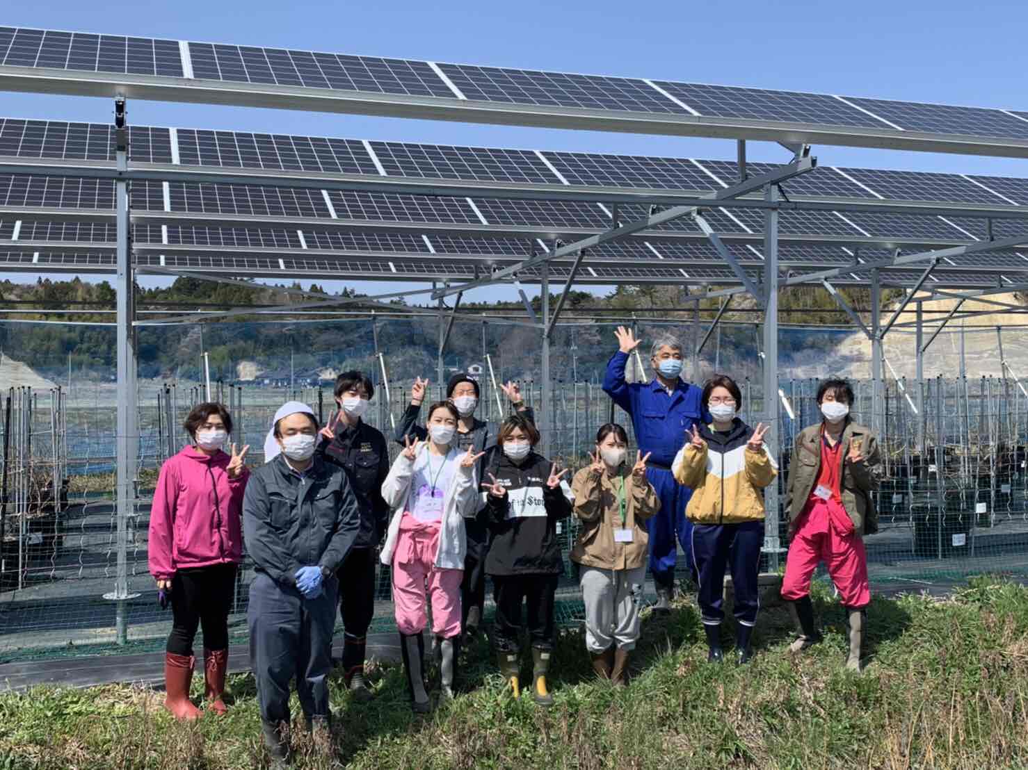 4月福島大学の学生さんがブルーベリーのお手伝いに（南相馬市）